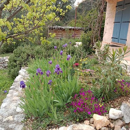 La Farigoulette Bed and Breakfast Lorgues Buitenkant foto